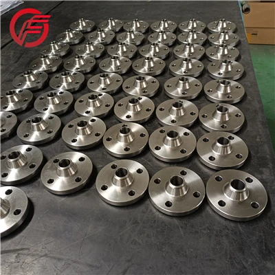 Gr2 WN titanium flange Gr2 WN titanium flange